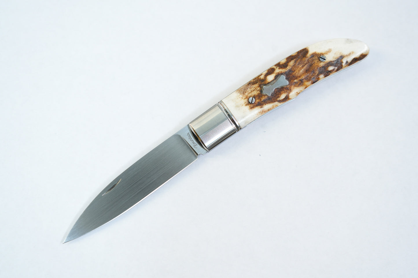 【Swift】 M390 Antlers Pocket Knife No lock