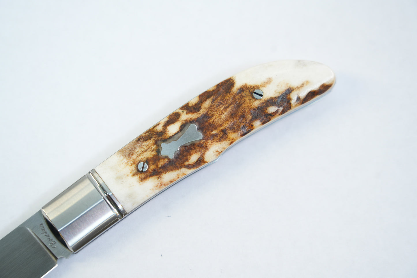 【Swift】 M390 Antlers Pocket Knife No lock