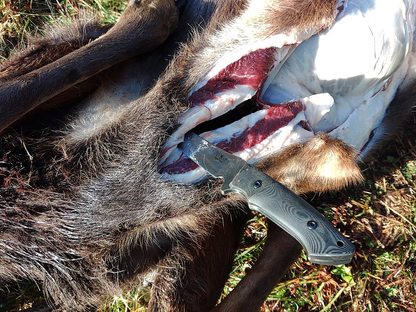 Hiroshii Suzuki Utility Hunting Knife B