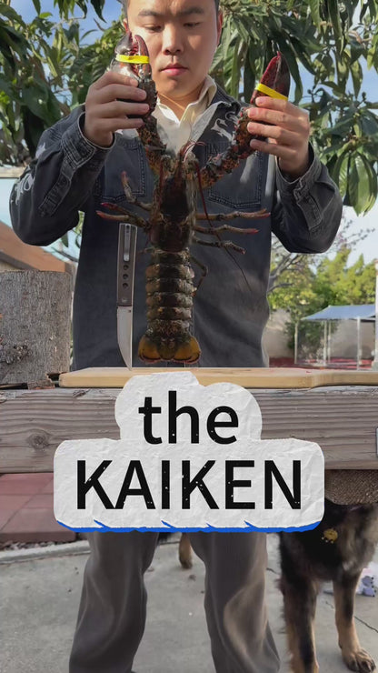 KAIKEN 2502-CFRD Silver Carbon Fiber + Red G10 Classic Japanese style tactical folding knife